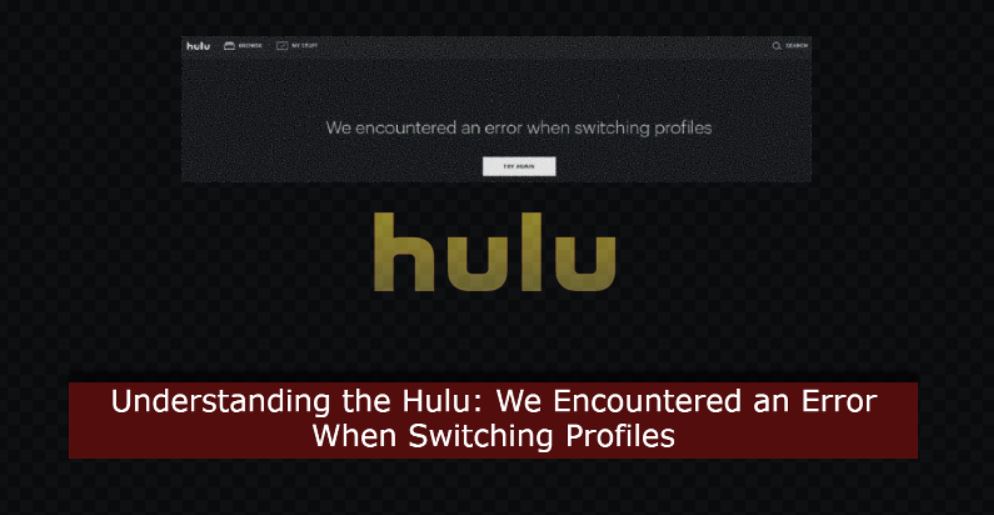 hulu we encountered an error when switching profiles